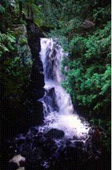waterfall2.jpg